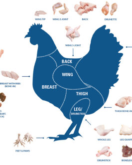 chicken